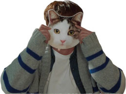 chat chae qlc kim kikoojap drama