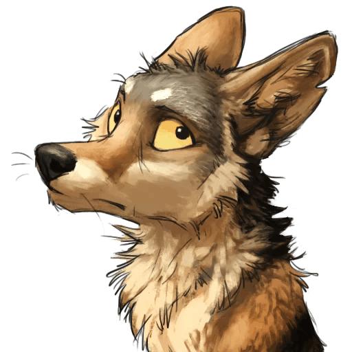 doute coyote hesitation