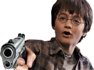 other-gun-potter-harry