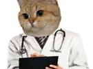 medecin-diagnostic-other-docteur-roux-note-chat-blouse-scientifique