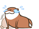 loutre-other-sticker-otter
