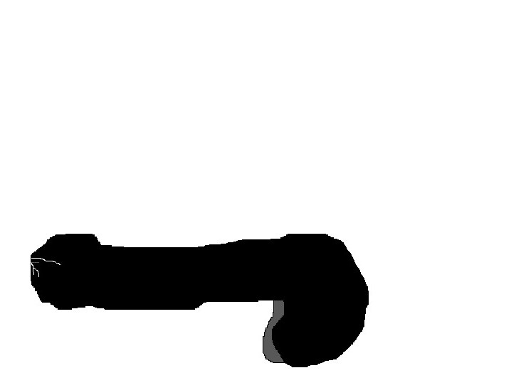 nagui dessin pour jvc bite noire