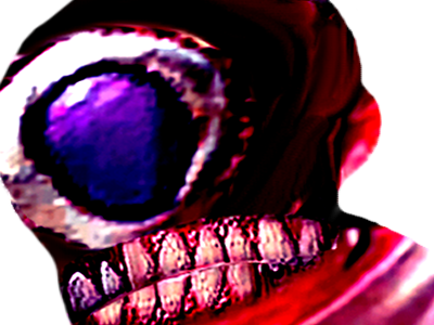 laid chicots monstre risitas issou wtf bordel