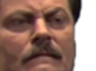 ron-other-swanson-questionne