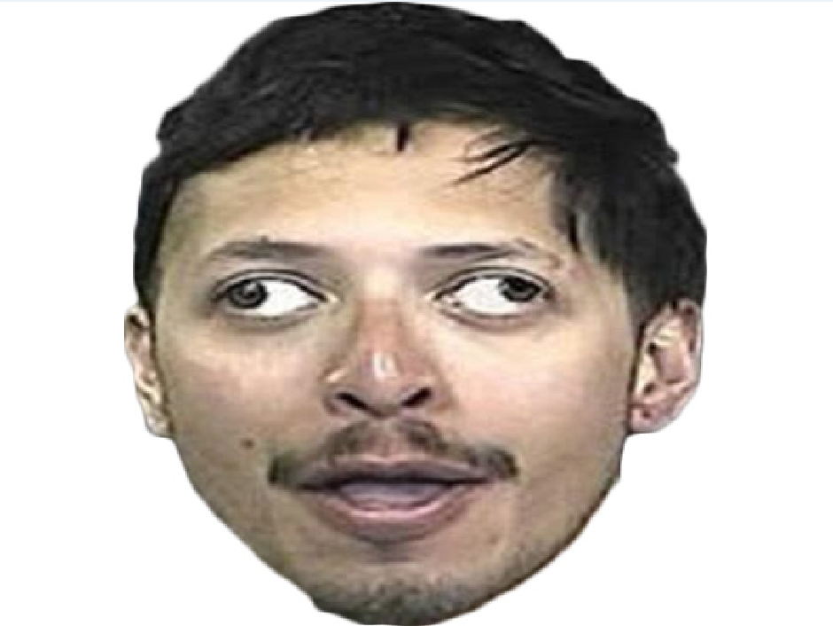 risitas idiot triso cretin abruti