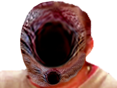 immondice enfer anus wtf double bordel risitas chancla laid