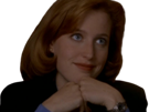 cool-x-other-files-scully-ok