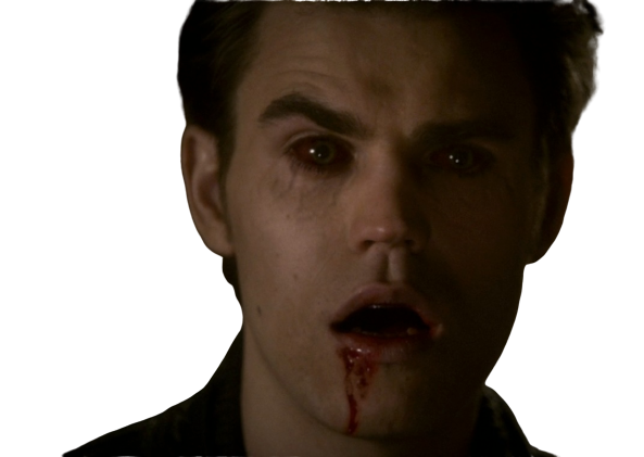 stefan diaries vampire lesnar504