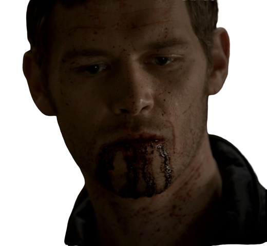 lesnar504 diaries originals klaus originel vampire