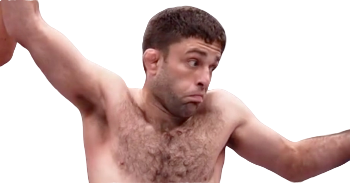 other win ufc hall ryan