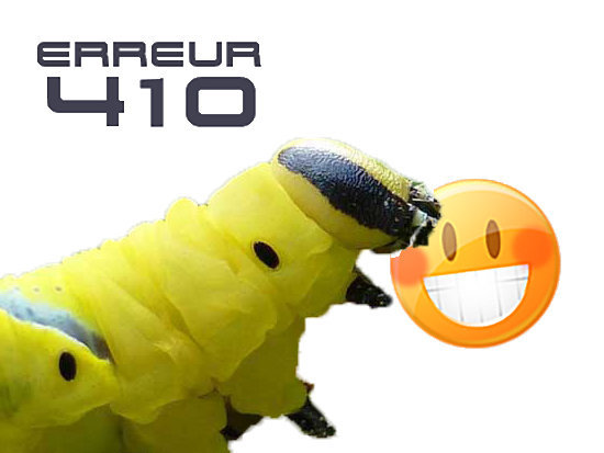 risitas insecte 410 mange