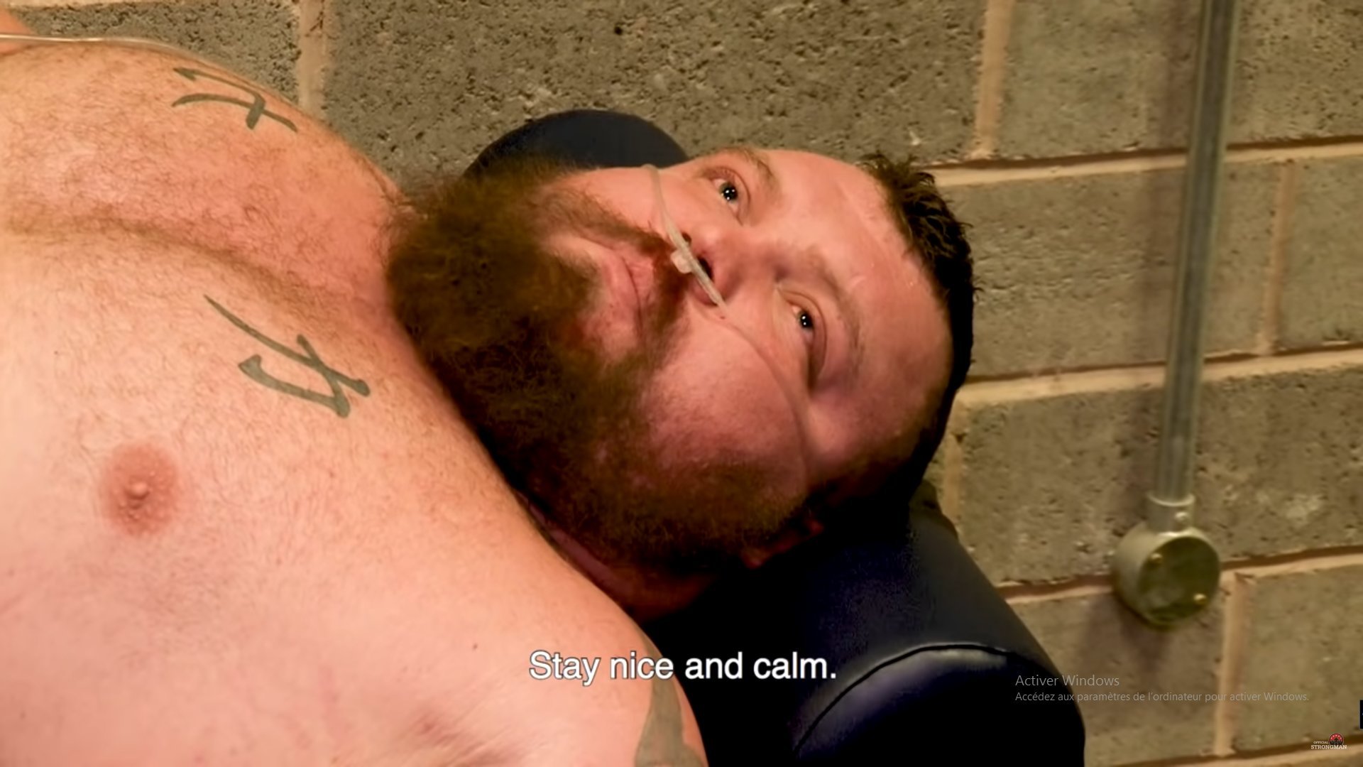 eddiehall niceandcalm risitas dl