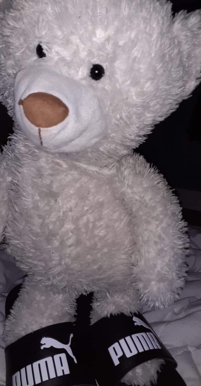 nounours le monde plus du gentil en claquette