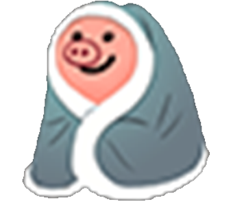 pig tendre couette cochon other mignon porc