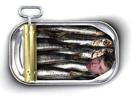fish-sardine-topic-cassion-reem-sard-sardoche-les-other-poisson-modo-vive-revert-lol
