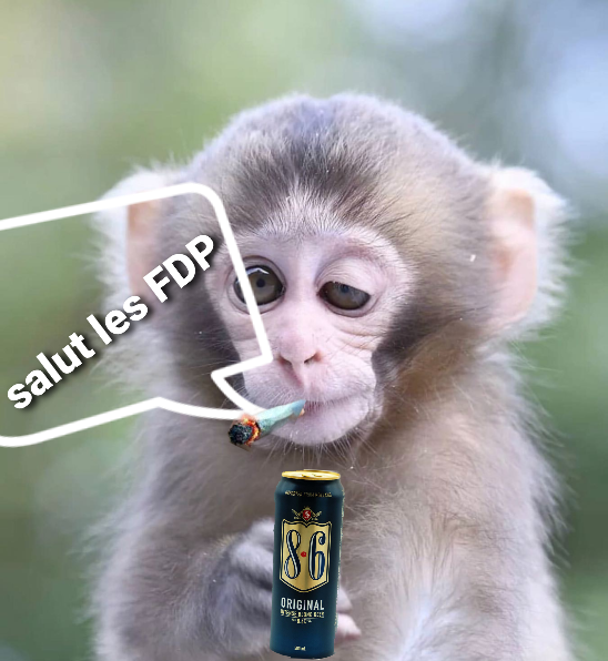 singerie joint somnolence 86 somno singe