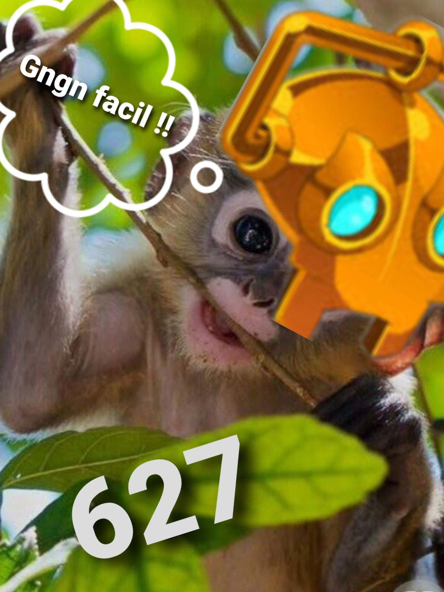 robinet robi gngn masque singe singerie fond 627 facil montage marins