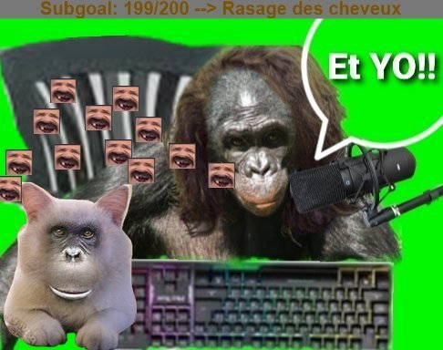 stream gneussou radin chatsinge