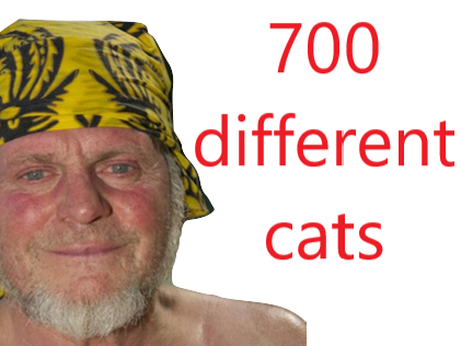 koh gege cats different lanta 700