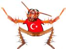 turc-erdogan-mehmet-risitas-kebab-cafard
