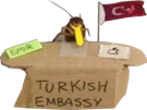 other-fez-turc-turquie-erdogan-kebab-mehmet-ambassadeur-cafard