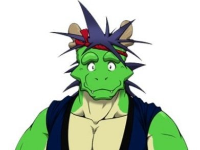 fuja animal jvc dragon