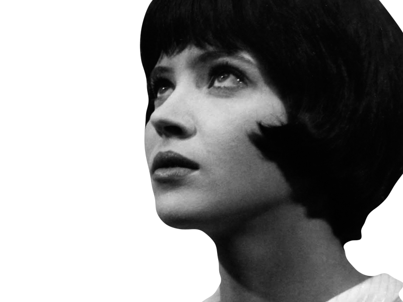 actrice godard vie karina vivre sa nouvelle anna vague