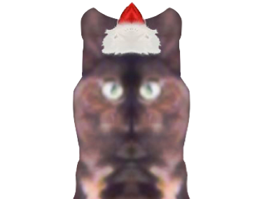 risitas chat bug miroir