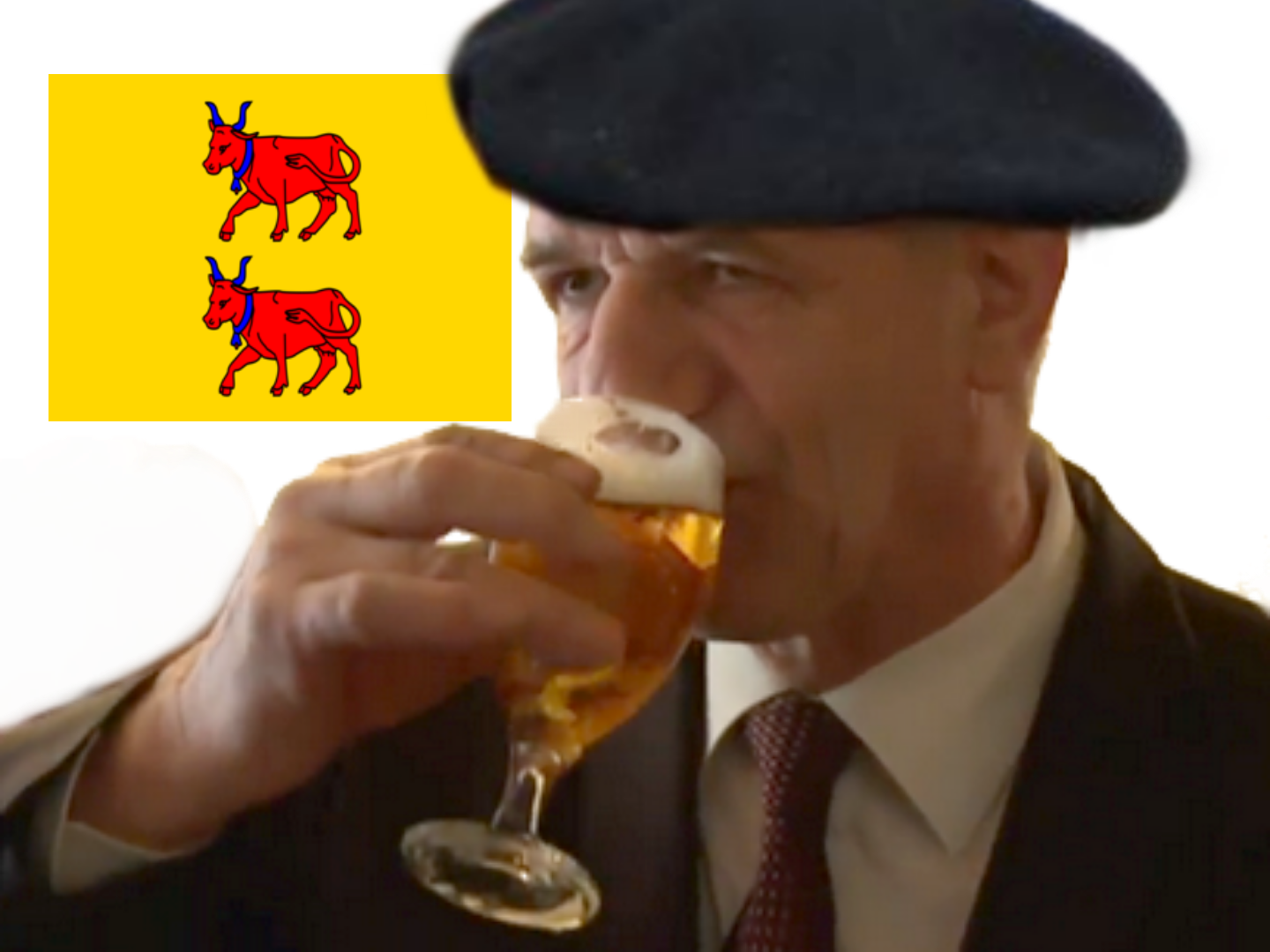 jean bearnais bearn lasalle pyreneen