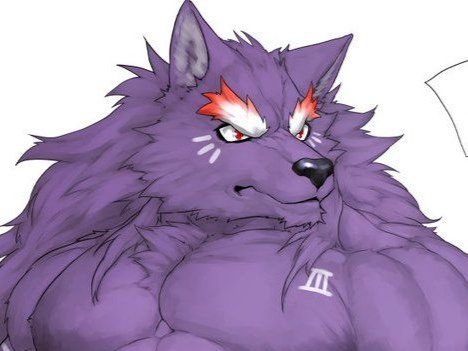 hot loup anthropomorphisme noleryl animal other