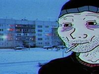 doomer de fin mort vie