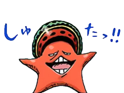 onepiece kikoojap etoile papug