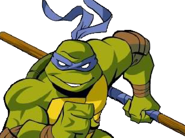 ninja michelangelo donatello leonardo raphaelo les tortues