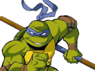 ninja-michelangelo-donatello-leonardo-raphaelo-les-other-tortues