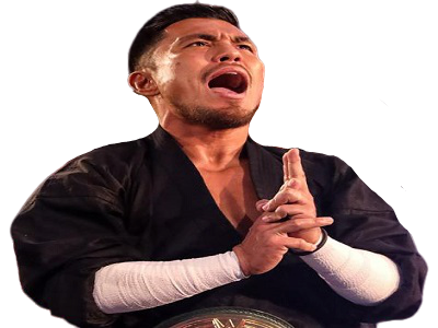 wwe tozawa lesnar504