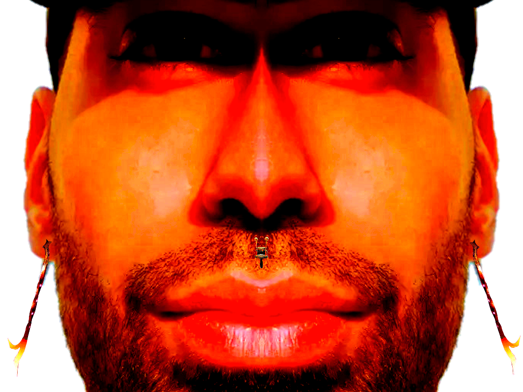 tison risitas qlf pnl