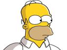 homer-doute-simpson-other