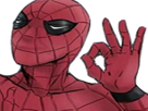 peter-spiderman-spider-parker-valide-other-ok-man-qlf