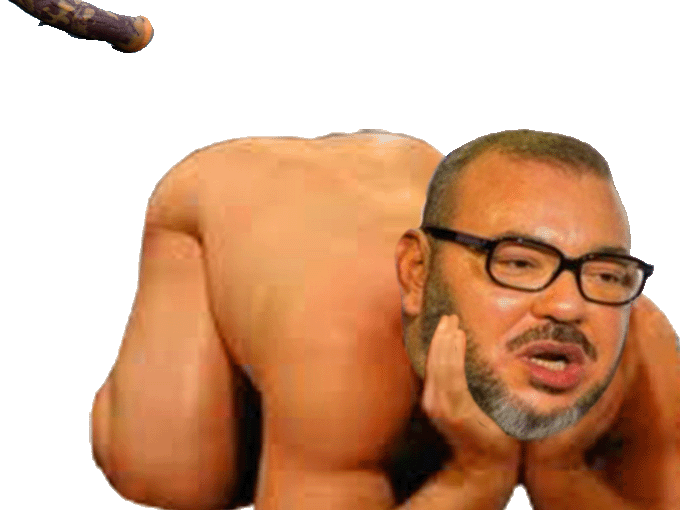 gode mohammed roi penis quatre pattes 6 gay risitas