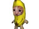 banane-gtb-pleure-chat-cute-cat-kawaii-risitas-snif