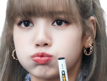 other zoom lisa feutre kpop blackpink