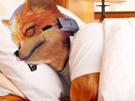 starfox-sommeil-dort-calme-snes-tinnova-heureux-mccloud-lit-dormir-reve-oreiller-tranquille-serein-content-fox
