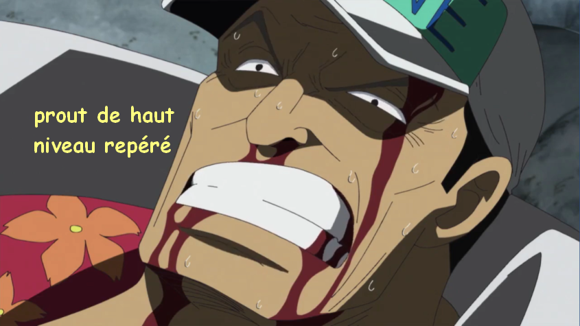 bb kikoojap proutent akainu prout