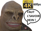 x-daube-piss-haloed-4k-other-jaune-metacritic-xbox-serie-60fps-optimized-moche-halo-orc
