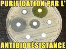 medecine-antibiotique-sante-purification-antiobioresistance-resistance-other