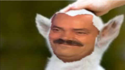 mouton pacified soumis risitas chevre brave fier