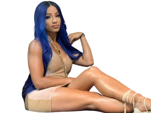 wwe robe boss sexy catch other banks sasha hot legit