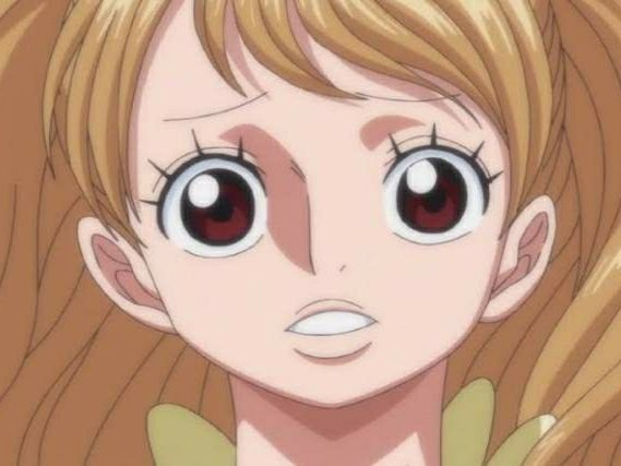 piece risitas one pudding 410conformiste charlotte