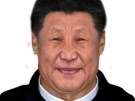 ping-xiping-cristiano-other-symetrie-troll-alpha-miroir-serieux-paz-deter-symetrique-cr7-chine-politic-xi-president-chinois-ronaldo-qlf-jiping