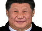 xi-jiping-cr7-chine-paz-miroir-alpha-symetrie-deter-cristiano-troll-qlf-politic-symetrique-ping-xiping-serieux-president-ronaldo-chinois